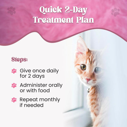 Close-up of the calibrated oral syringe for precise cat dewormer dosage measurement