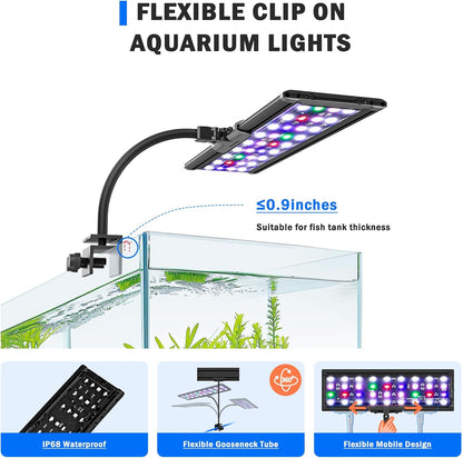 Aqqa aquarium light displaying full spectrum color modes