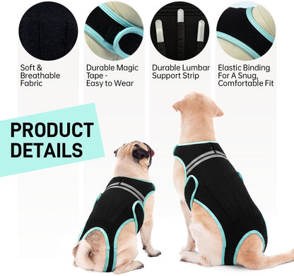 LETSQK pet spine support vest showing leash hole attachment