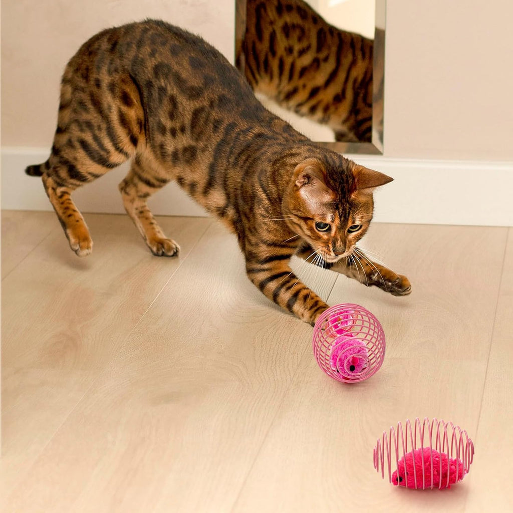 Jecery interactive kitten bouncing toy side view colorful coils.