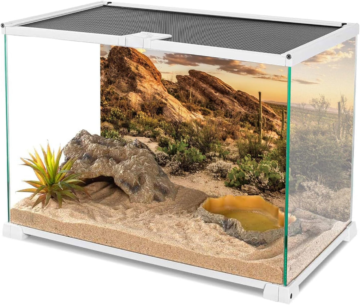 Awert desert cactus terrarium backdrop close up