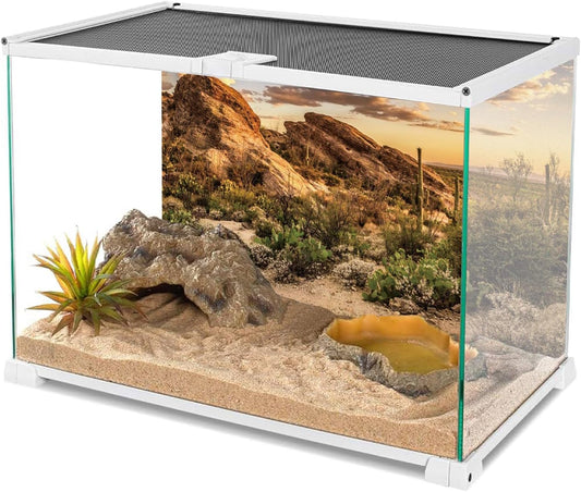 Desert landscape aquarium background attached externally to a glass fish tank.