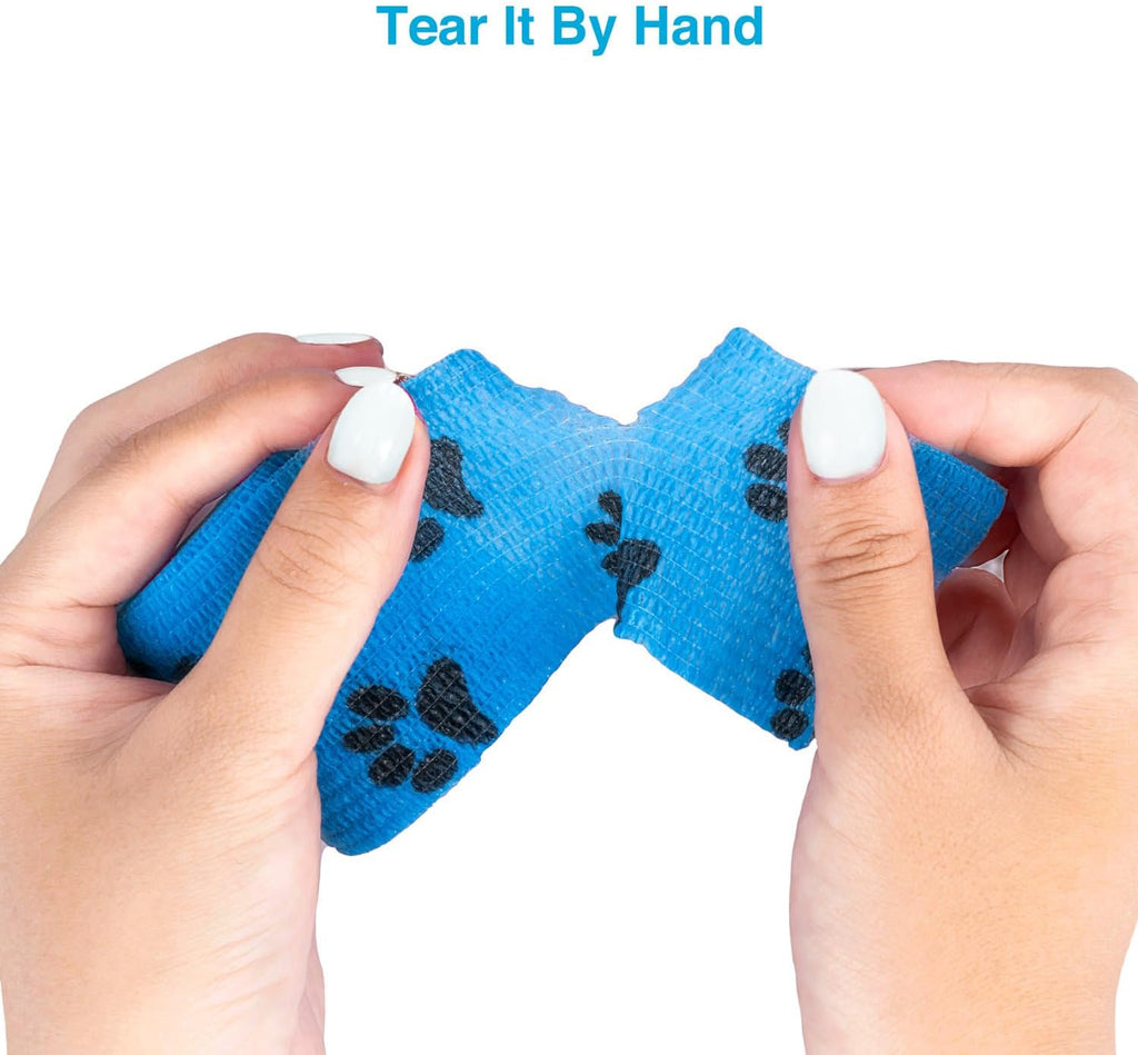 Dog leg wrapped with blue WePet cohesive bandage