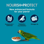 Close up of safflower and flaxseed bird food blend