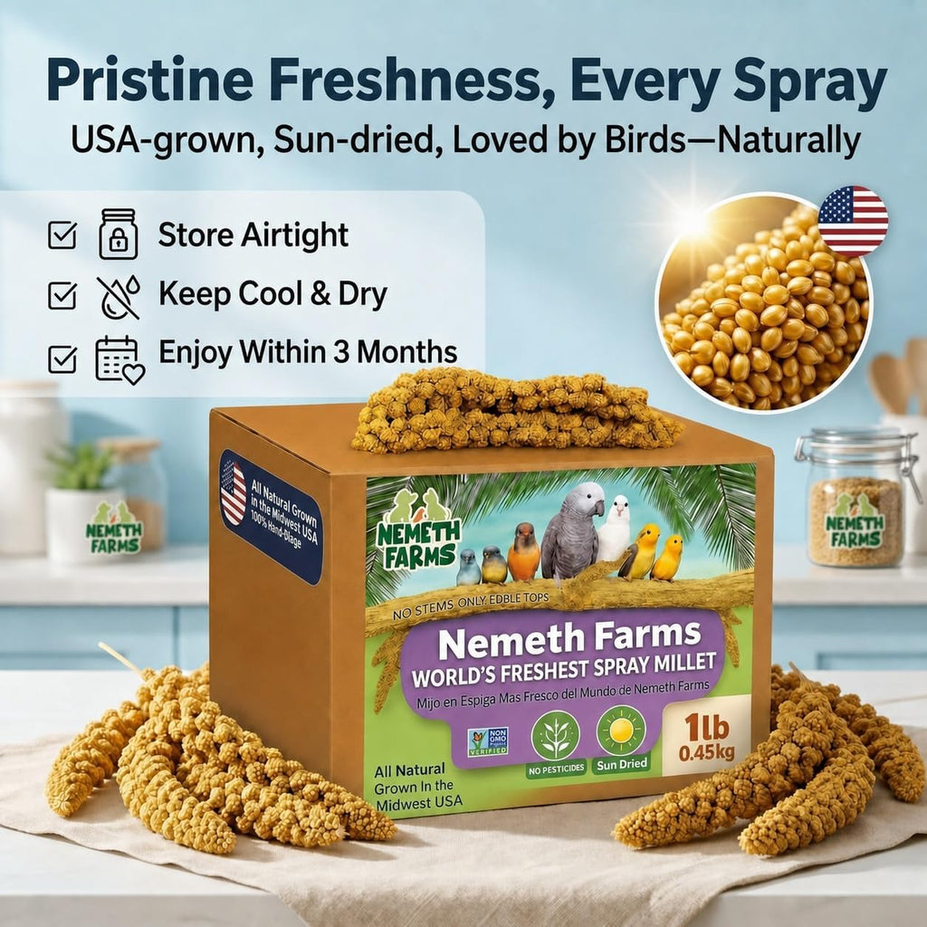 Nemeth Farms Spray Millet - Edible Tops Only, Non-GMO and Sun-Dried - 1 lb for Parakeets, Canaries and Finches - Image 5