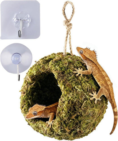Handmade Crested Gecko Tank Accessories - Bearded Dragon Accessories, Reptile Hideout, Hermit Crab and Small Reptile Habitat 4.7x3.5x9in - Image 1