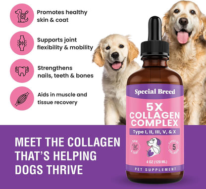 Special Breed canine collagen liquid dropper showing easy application on pet food