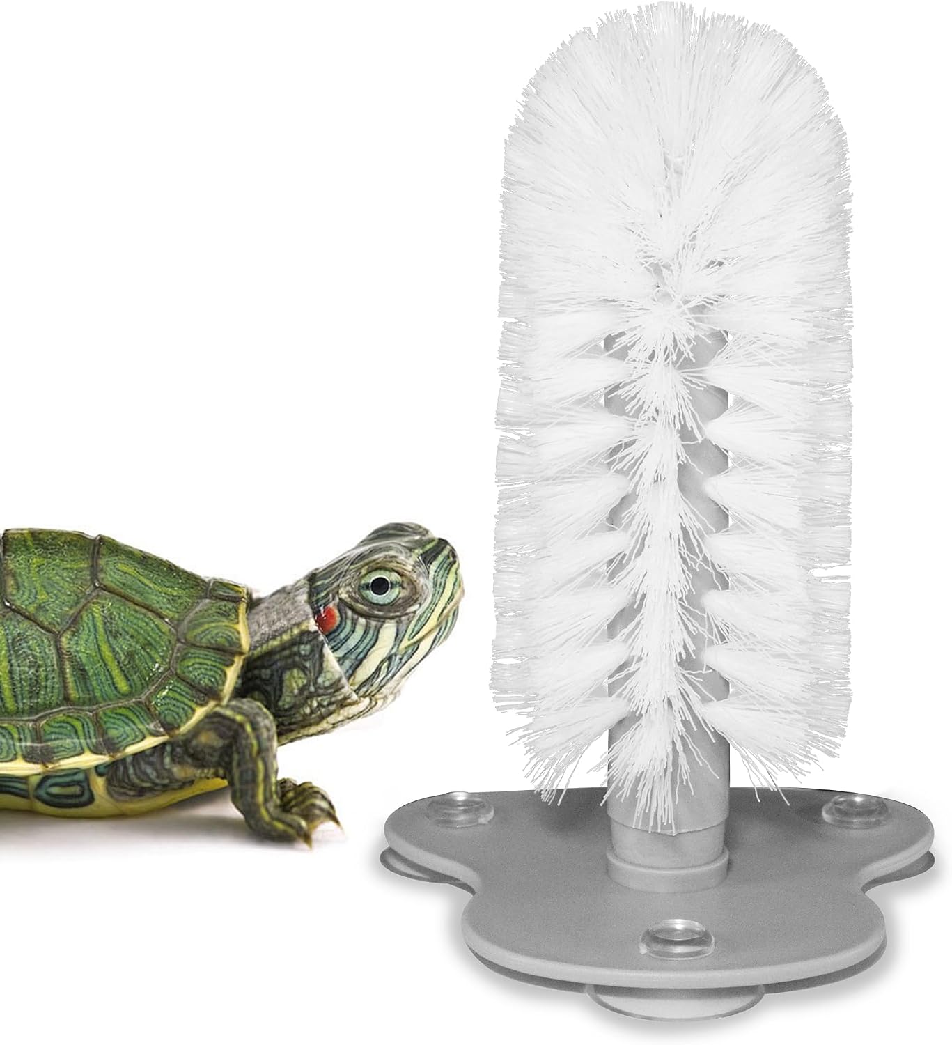 JJMOLLE turtle brush with suction cup front view for aquatic tank shell cleaning