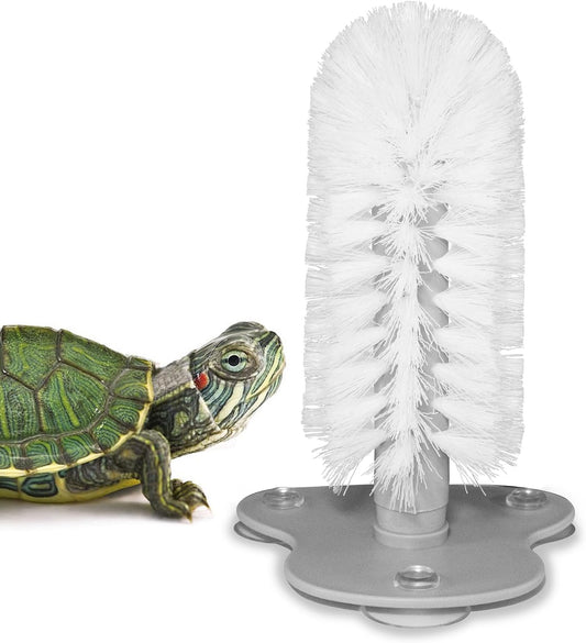 JJMOLLE turtle brush with suction cup front view for aquatic tank shell cleaning