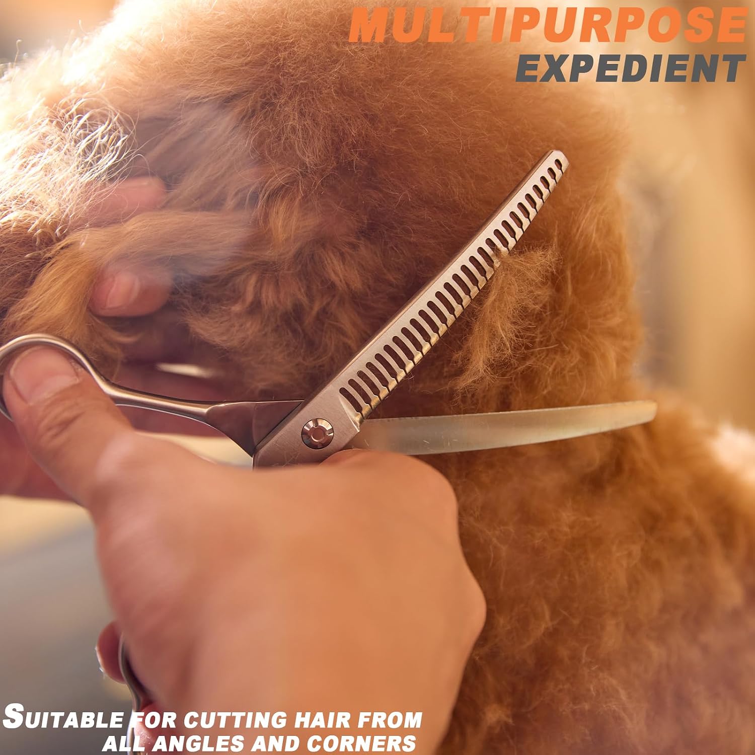Fengliren stainless steel pet grooming shears close up view of the sharp cutting edge.
