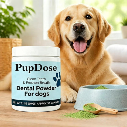 Dog dental powder for small medium and large dogs application