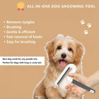Authentic TailGurus dual purpose pet grooming tool packaging and contents