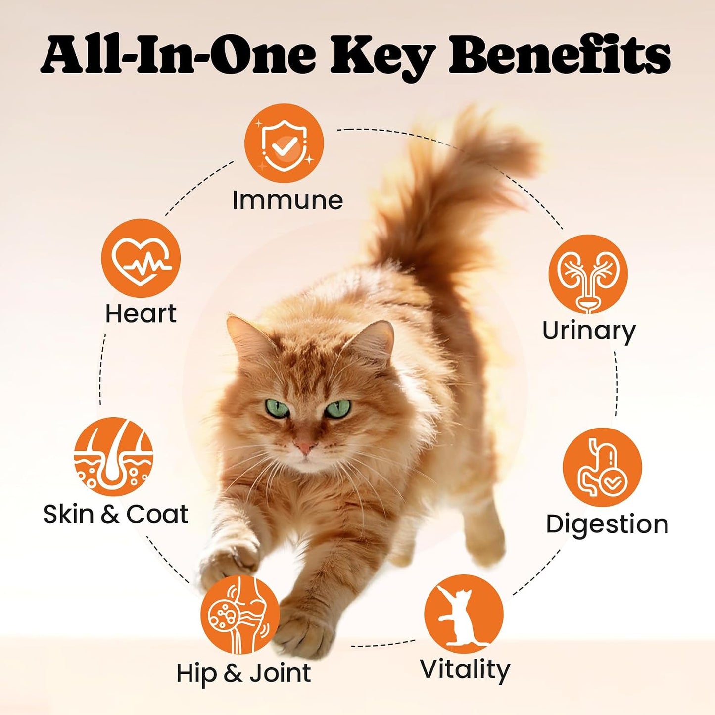 Side view of Buddycheer premium cat treats detailing the 12 essential vitamins and 5 minerals composition.