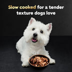 Cesar steak lovers adult wet dog food tray opening demonstration showing rich loaf texture.