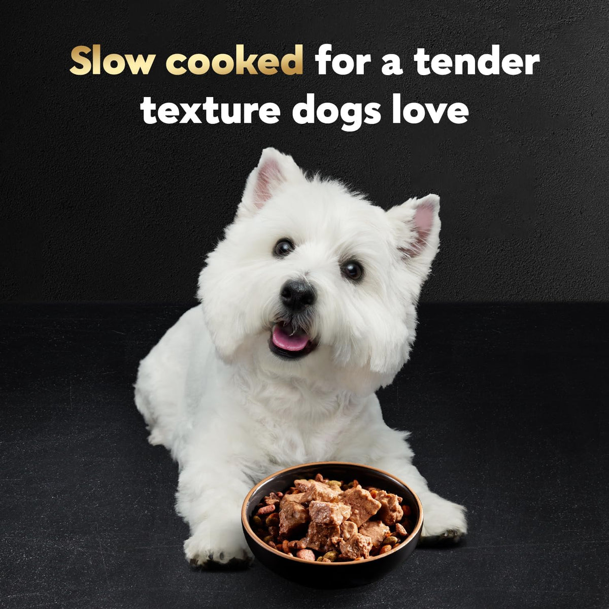 Cesar steak lovers adult wet dog food tray opening demonstration showing rich loaf texture.
