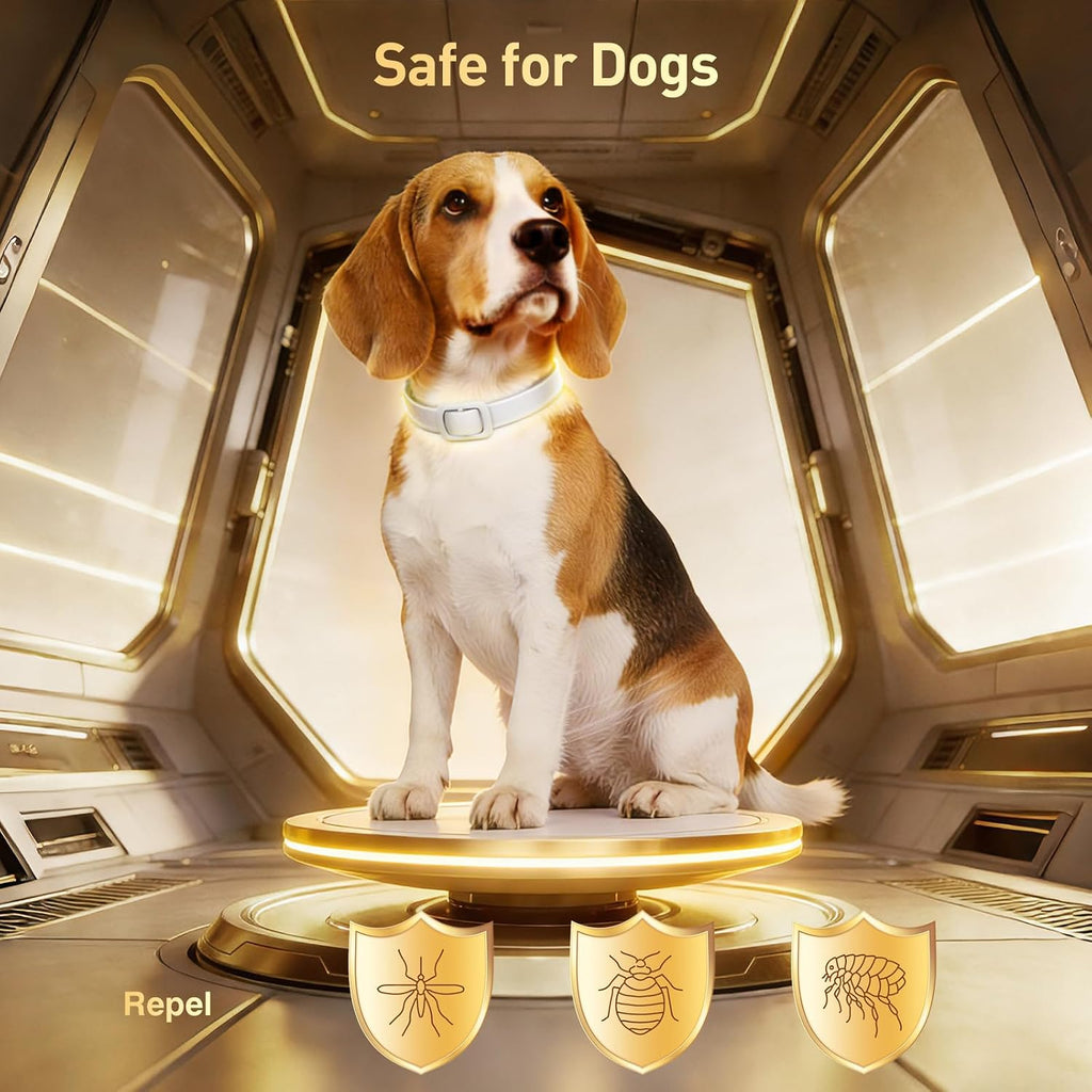 Waterproof flea and tick collar for dogs close up