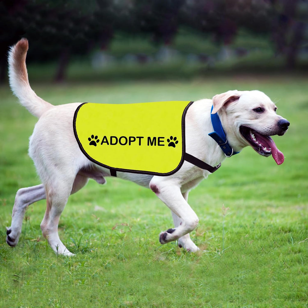 Zuo Bao Adopt Me Large vest dimension chart displaying length and width measurements