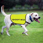 Zuo Bao Adopt Me Large vest dimension chart displaying length and width measurements