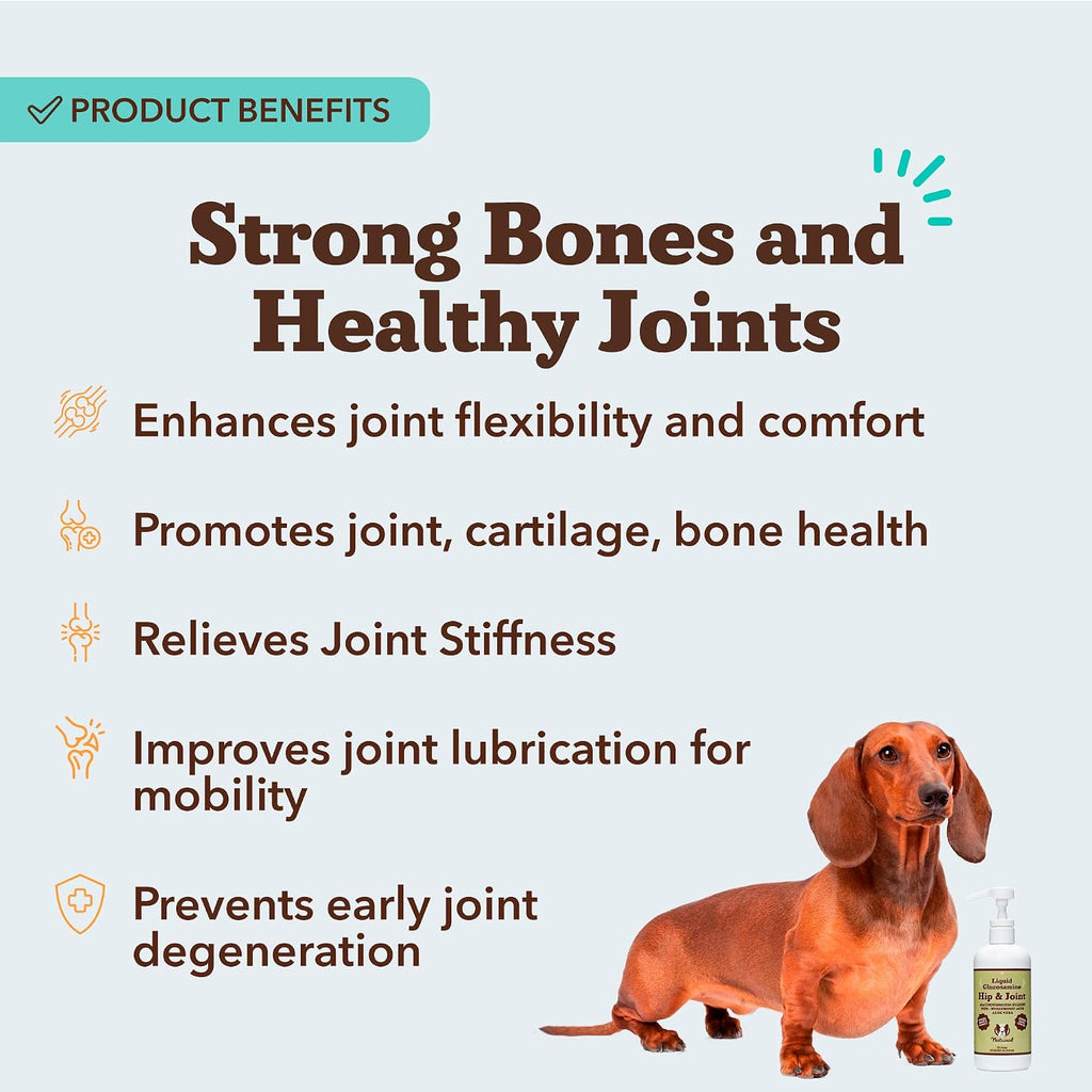 Extra strength liquid glucosamine for canine joint health support