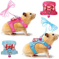 Satinior small pet harness and leash set front view with pink padded vest