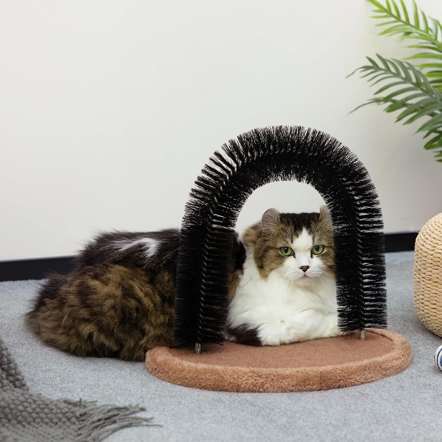 Hollypet cat scratcher toy displaying the updated secure screw-in base installation.