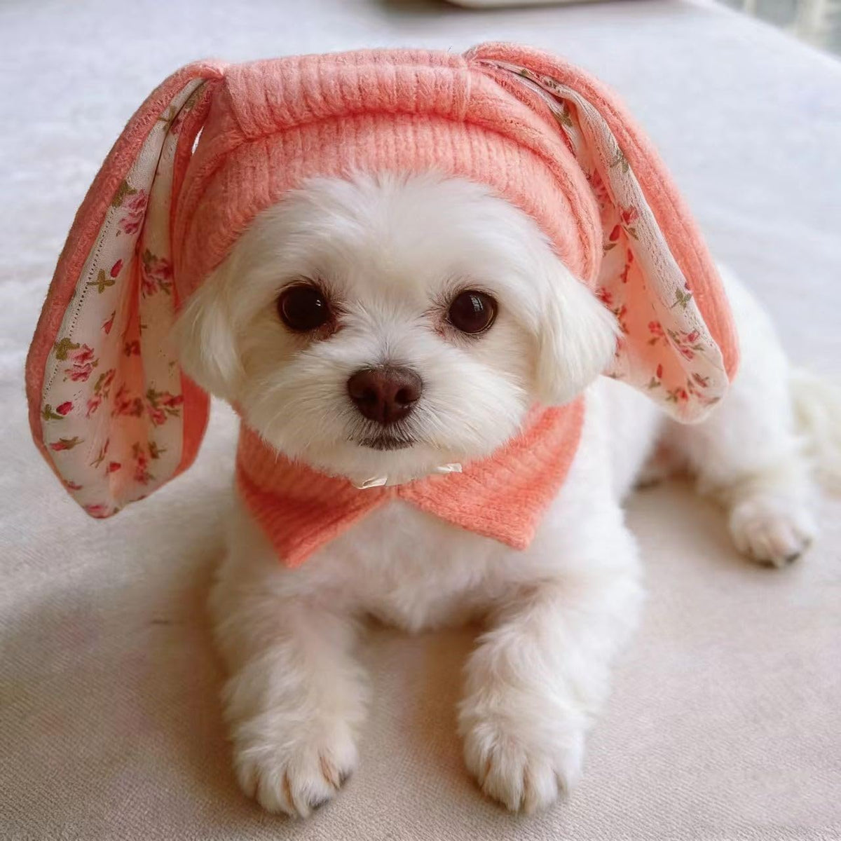Side profile of pet wearing pink rabbit quiet ears