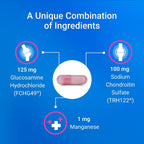 Nutramax Cosequin Joint Supplement Bottle With Ingredients Detail
