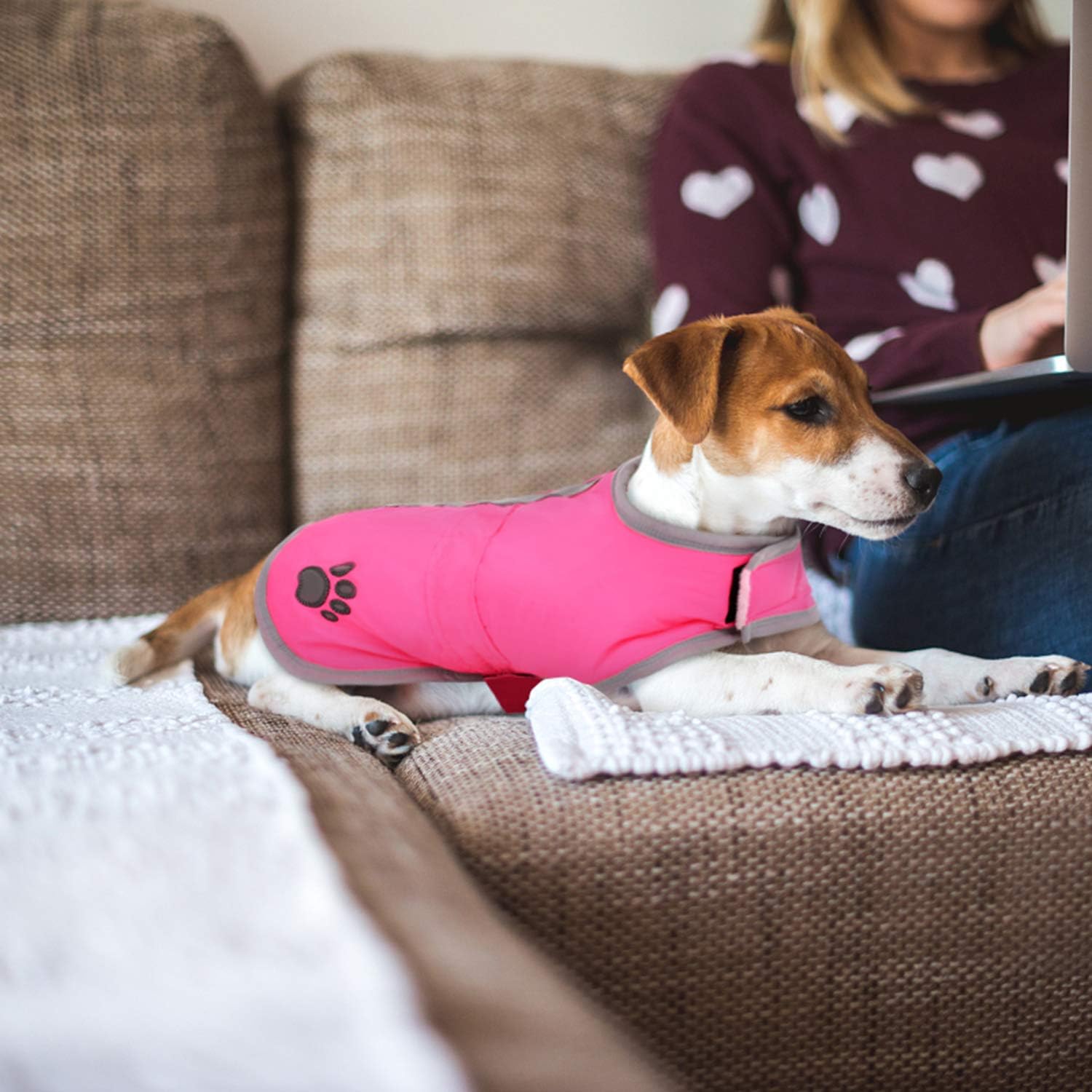 Queenmore dog coat sizing chart guide for pet owners