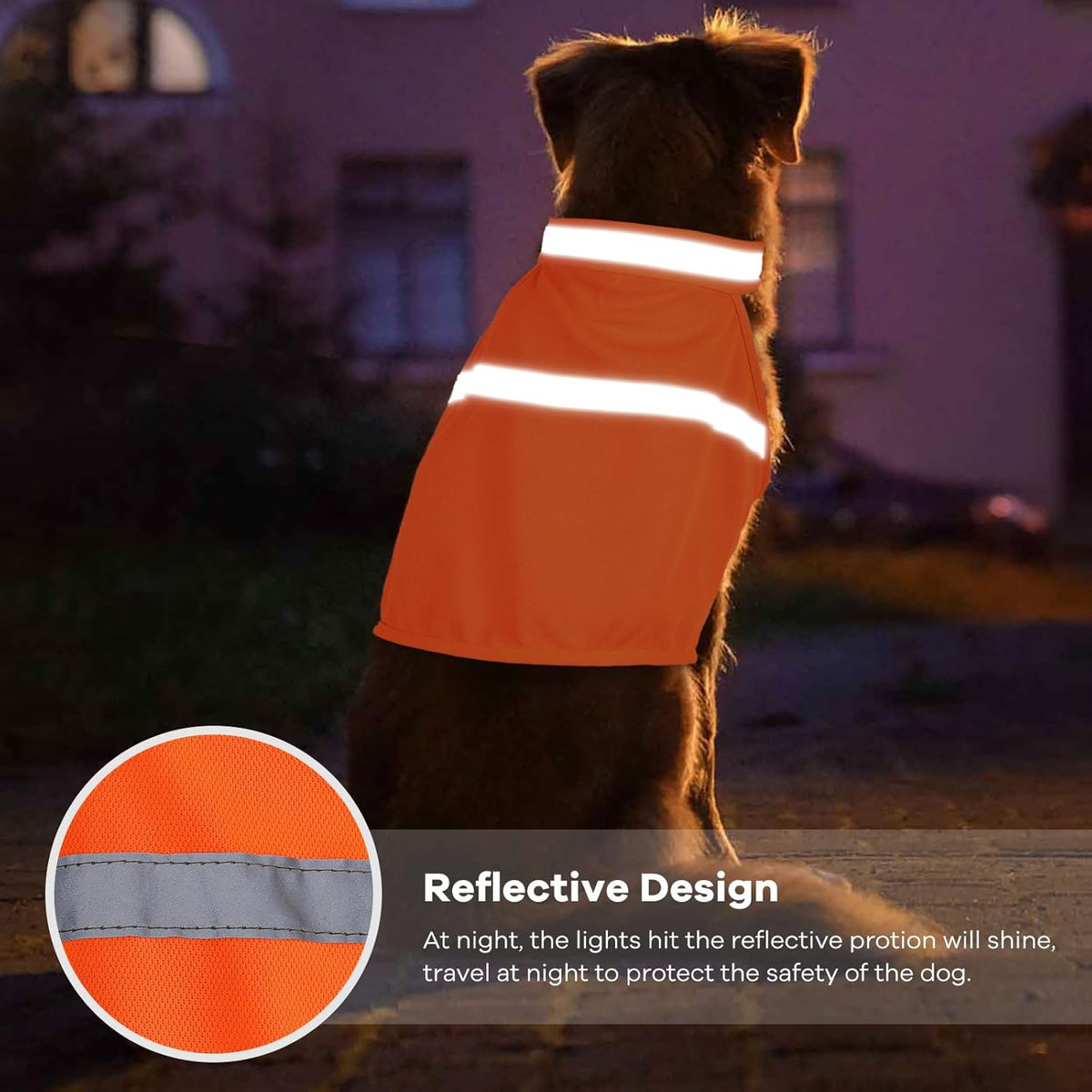 Close up of adjustable velcro straps on dog safety vest