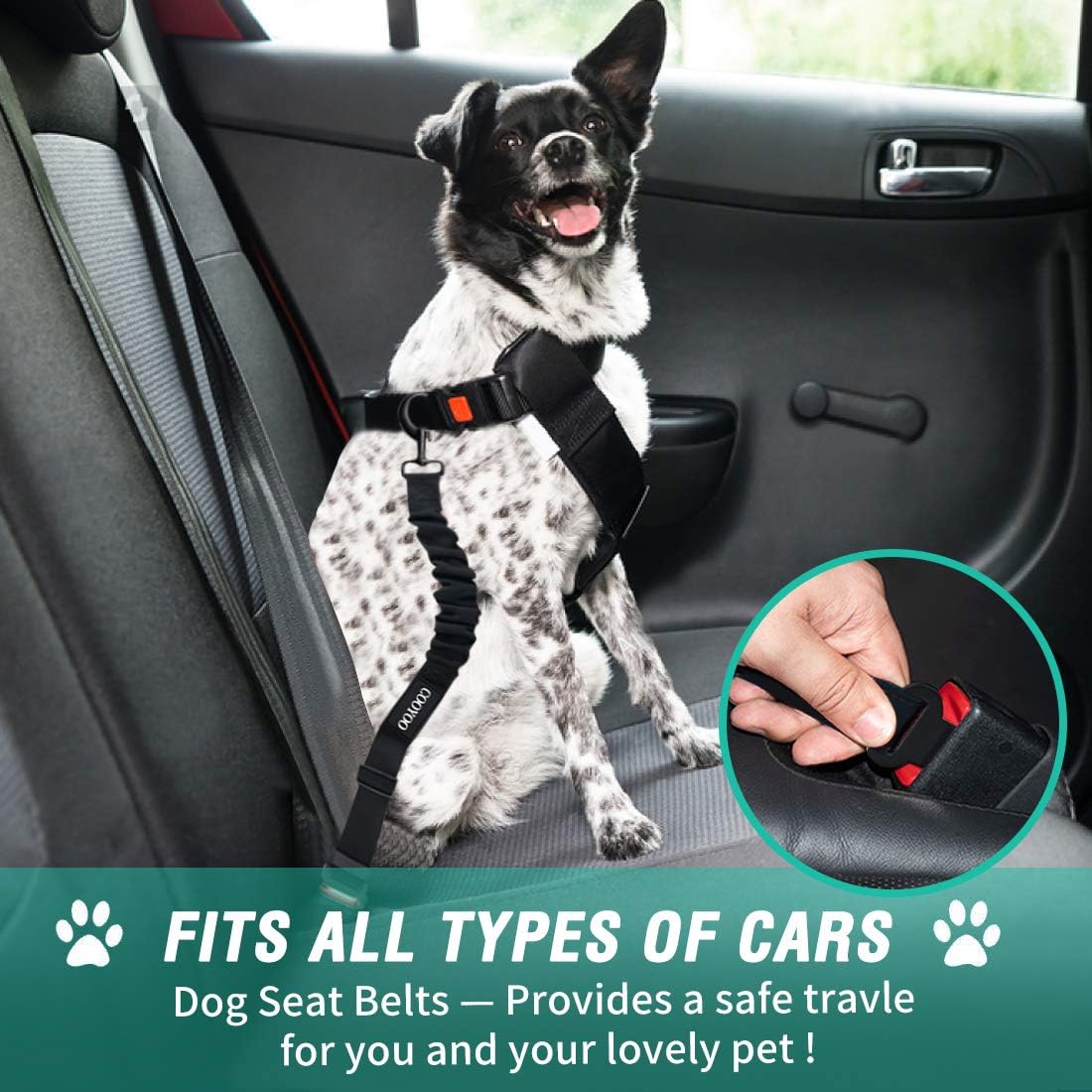 Cooyoo dog seat belt attached to harness in car interior