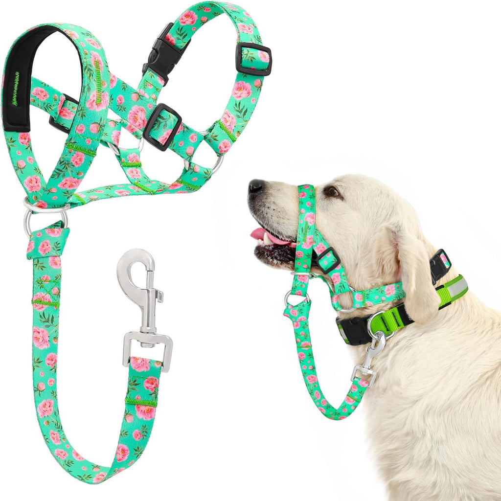 Breathable mesh padding and reflective stitching details on the dog headcollar