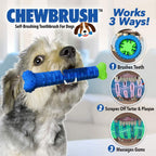 Exterior rubber nubs for dog gum massage on the dental chew bone