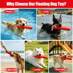 Large dog retrieving the red Holoras water toy from a lake