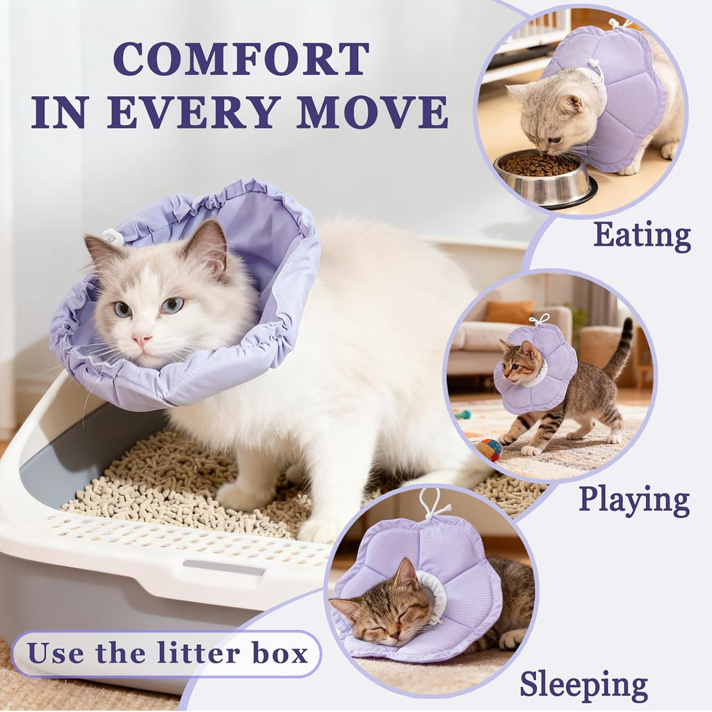Small purple cat cone collar being worn by a resting kitten