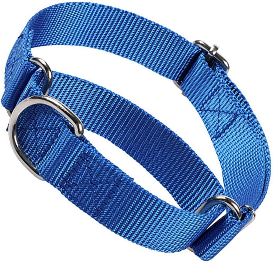 Premium quality nylon material of Hotlion dog accessory