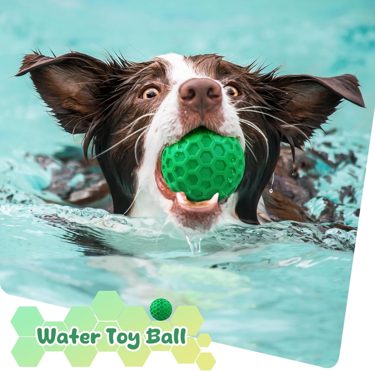 Zrifaqesw dog ball floating on water for swimming