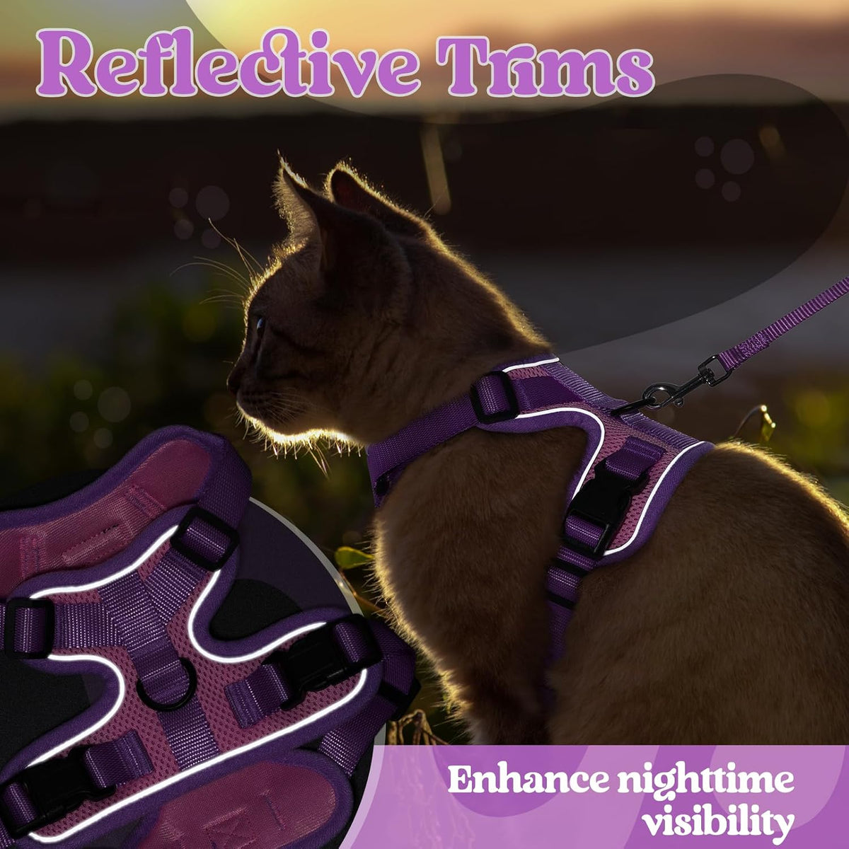 Secure quick release buckles on the Rabbitgoo adjustable kitten harness set