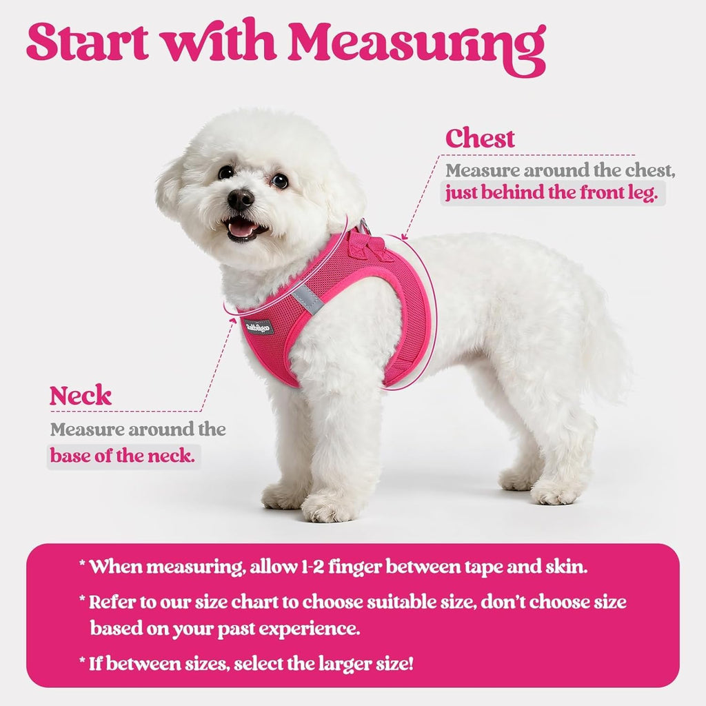 Rabbitgoo puppy vest and leash set side view fuchsia rose red