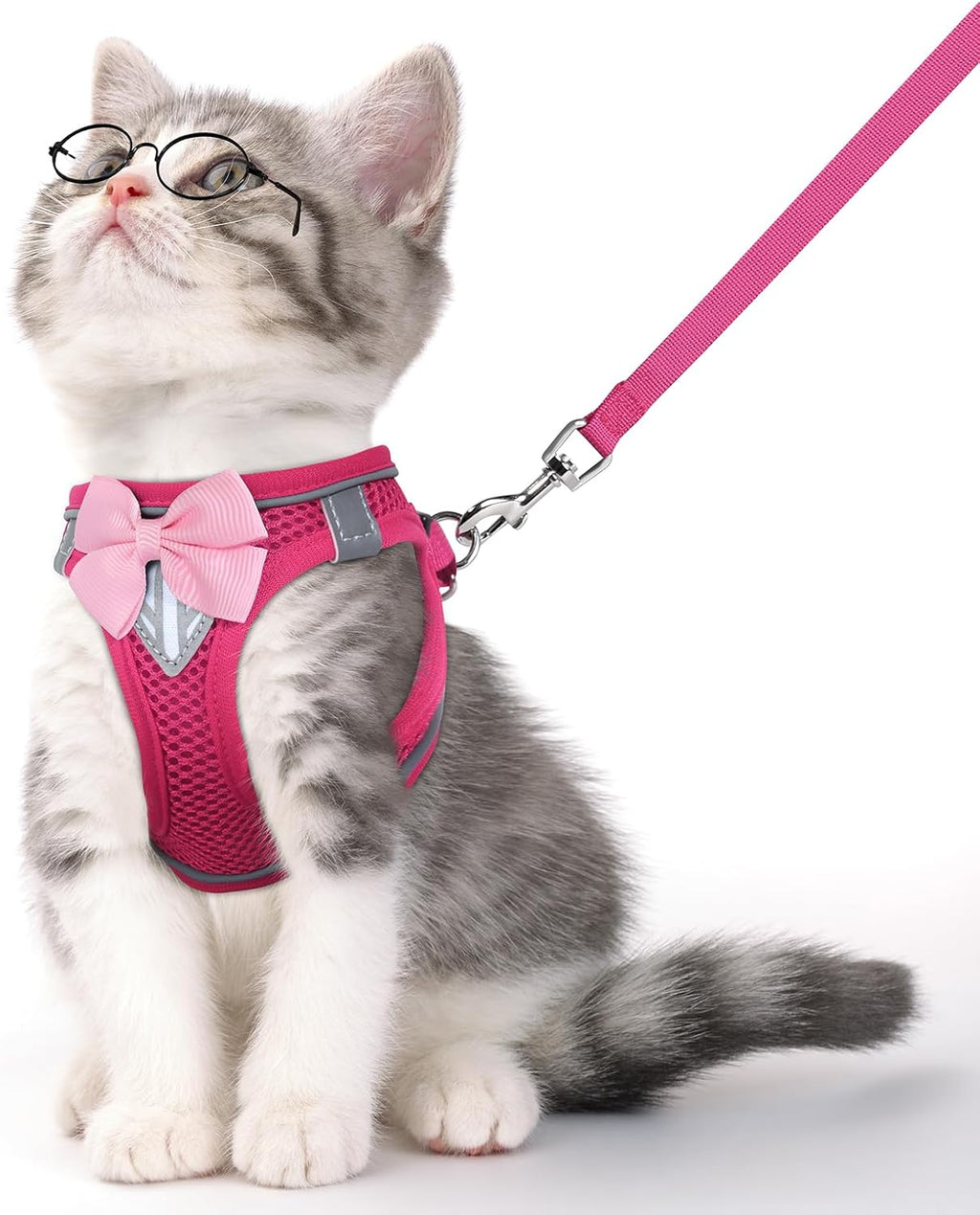 Cat Vest Harness and Leash Set for Walking Escape Proof, Adjustable Kitten Harness Breathable Mesh with Reflective Strips Harness for Kitty Puppy Bunny (Blue, XS) - Image 13