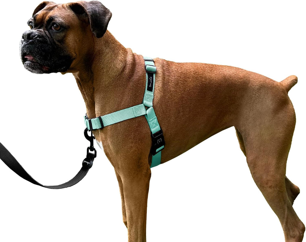 ShawnCo Dream Walk No-Pull Dog Harness- Adjustable, Comfortable, Easy to Use Pet Halter to Help Stop Pulling for Small, Medium and Large Dogs (Oceanic Blue, L) - Image 11