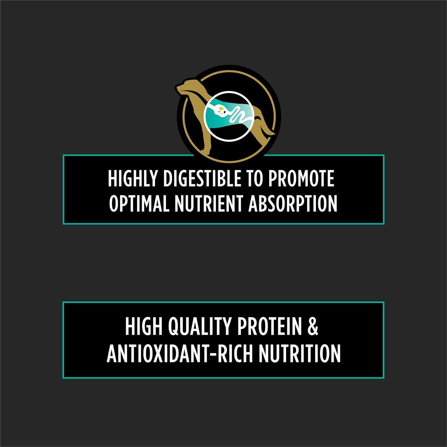 Purina Pro Plan EN Gastroenteric Low Fat Canine Formula six pound bag premium clinical nutrition for dogs.