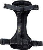 Mighty Paw dog car harness reflective stitching visibility test