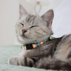 CollarDirect adjustable kitten collar set featuring quick-release safety buckle