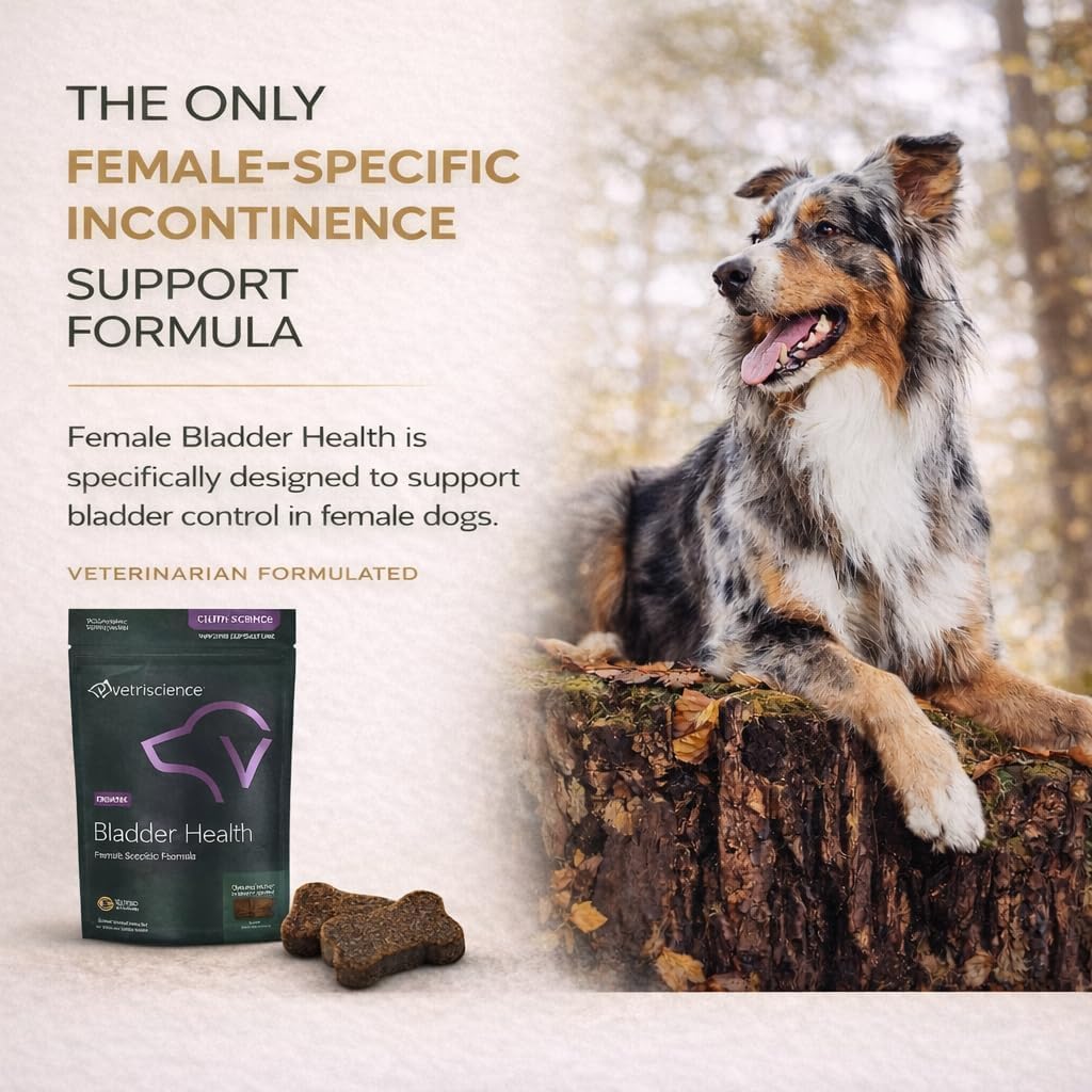 Back label of VetriScience bladder health formula detailing active soy protein and red clover ingredients.