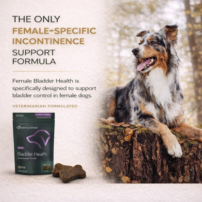 Back label of VetriScience bladder health formula detailing active soy protein and red clover ingredients.