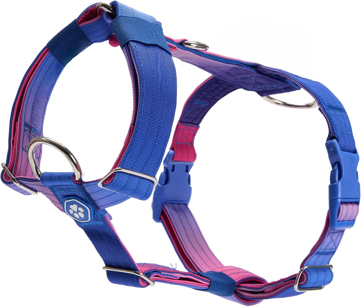 Spark Paws No Pull Dog Harness with Handle for Large Dogs, Heavy Duty Dog Harness for Big Strong Breeds, Adjustable, Y Shaped Padded Halter Design with Front Clip - 90s Retro - M - Image 10