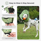 Comparison of Avont mesh collar versus standard plastic cone