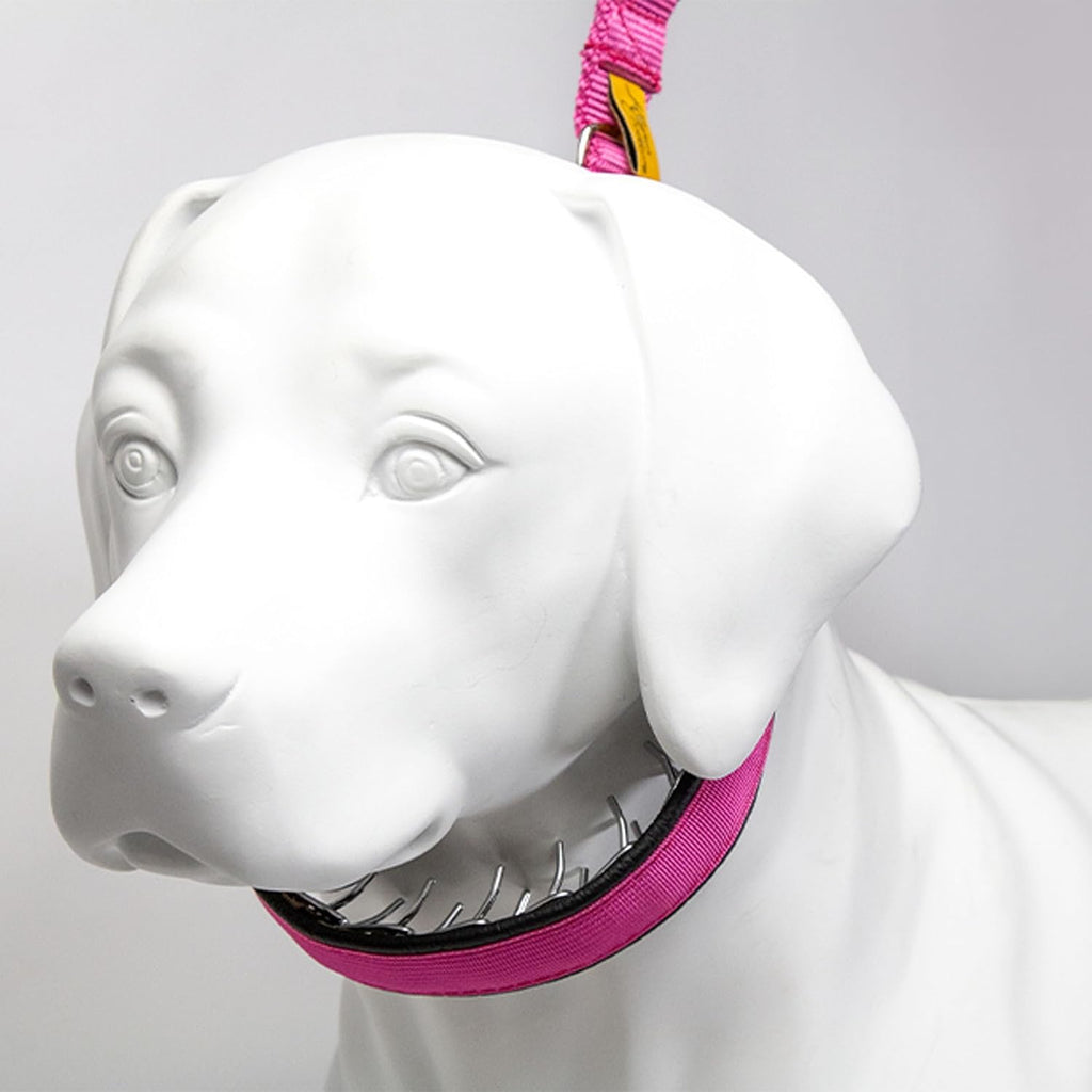 Keeper Collar discrete chrome link dog training collar back view