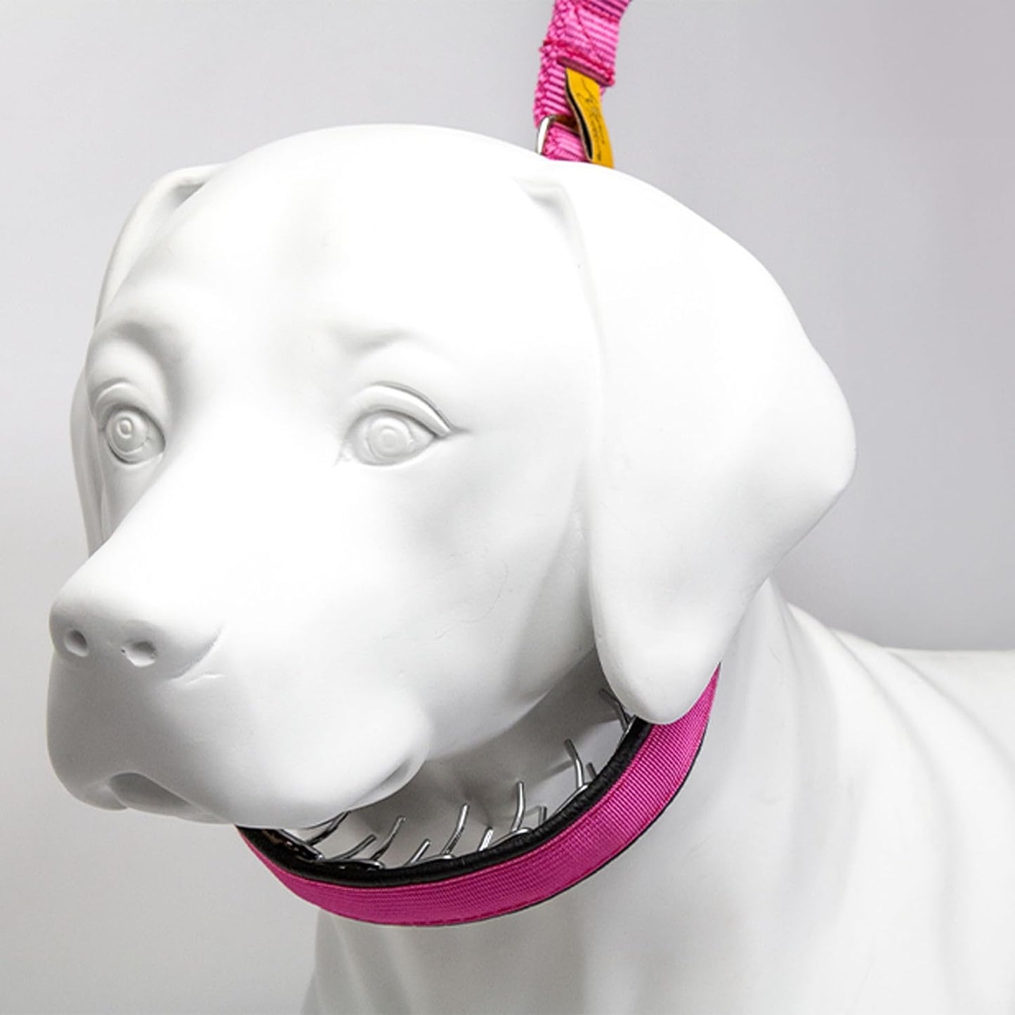 Keeper Collar discrete chrome link dog training collar back view