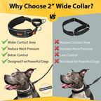 Close up of Mayerzon reflective dog collar stitching lighting up in low light conditions